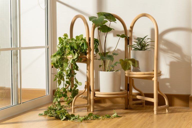 Love Gardening? These Rattan Planters Are a Must-Have for Your Garden