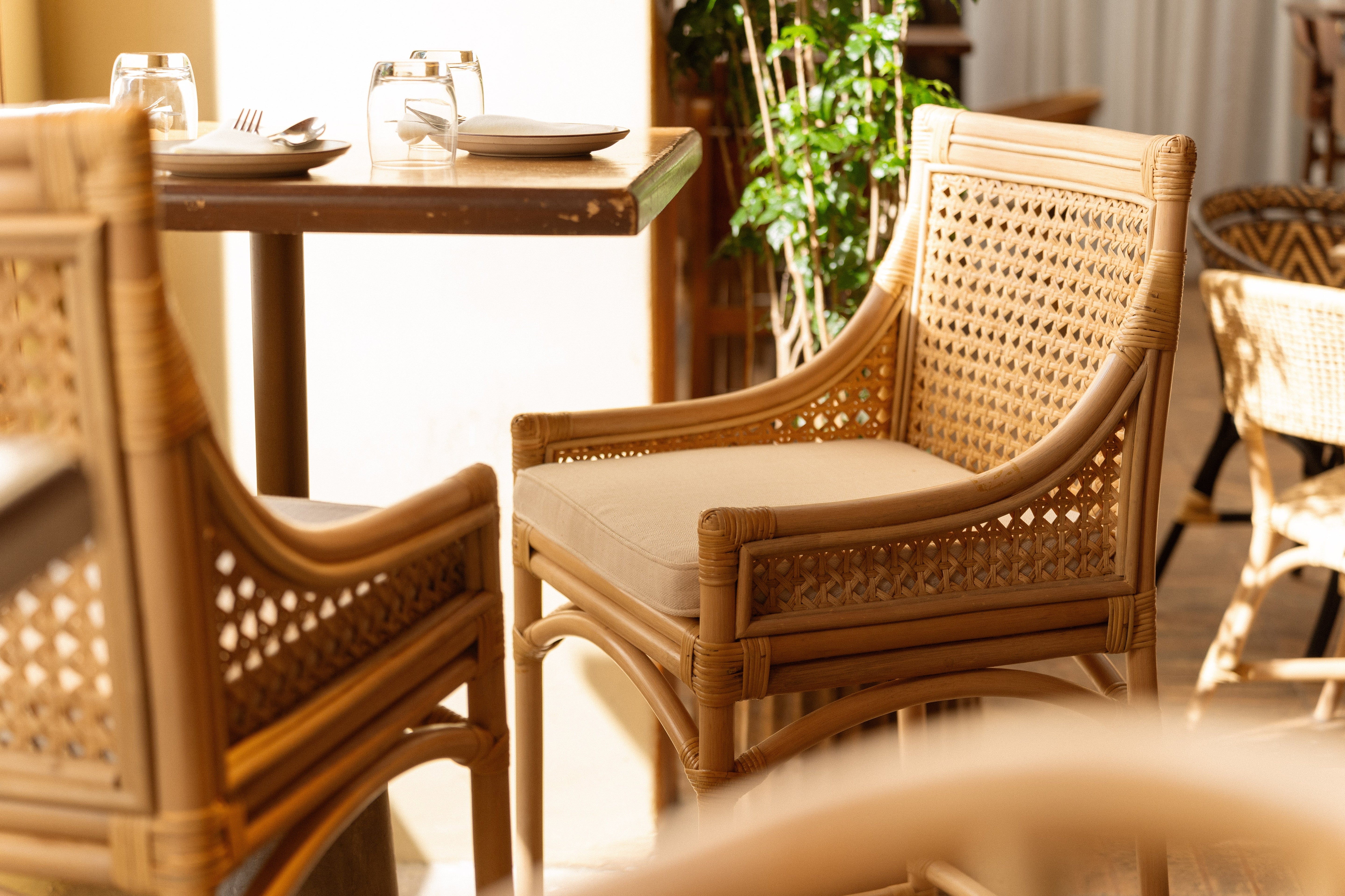 Rattan Furniture