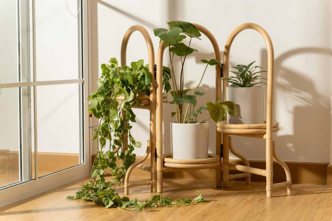 6 Tips to Choose the Right Furniture Design for Home Interiors to Create a Harmonious Vibe