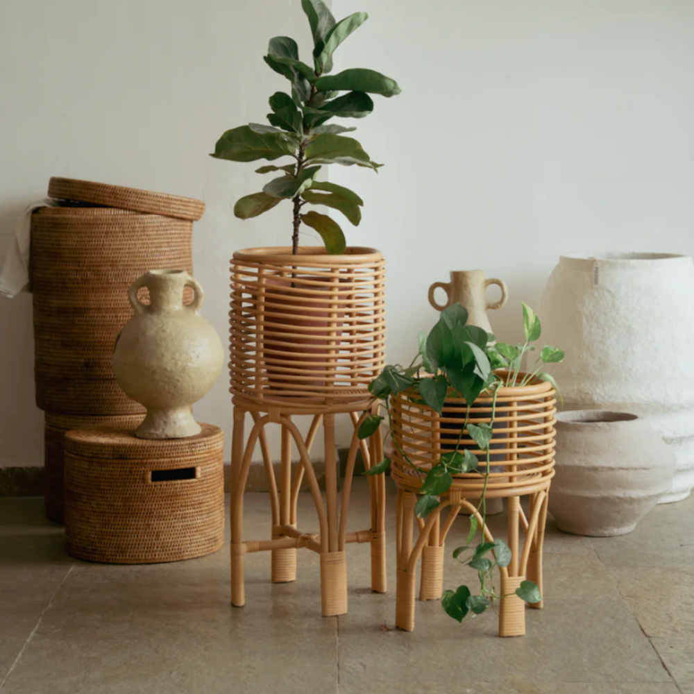 wicker indoor plant stand Buy Eco Blush Rattan Plant Stand Online in India