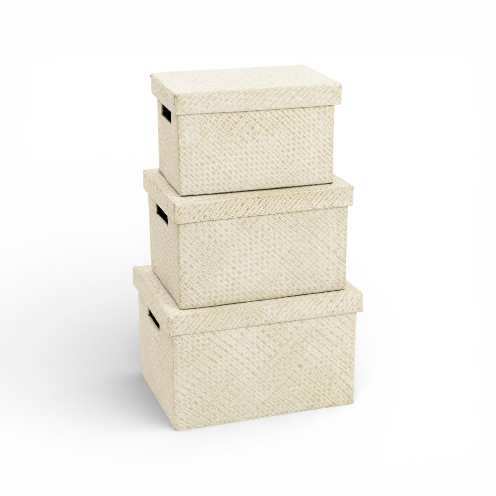 Pastel Pandan Chest (White)