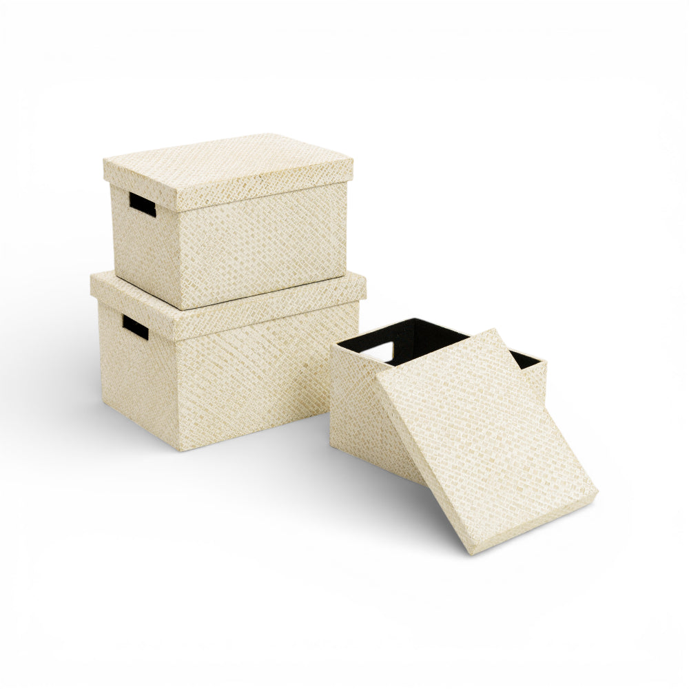 Pastel Pandan Chest (White)