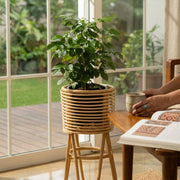 Tripod Planter Stand